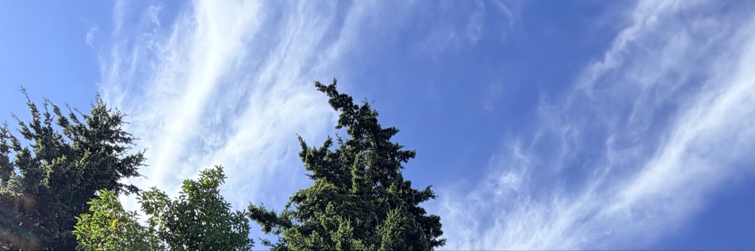 docmark1's profile banner image