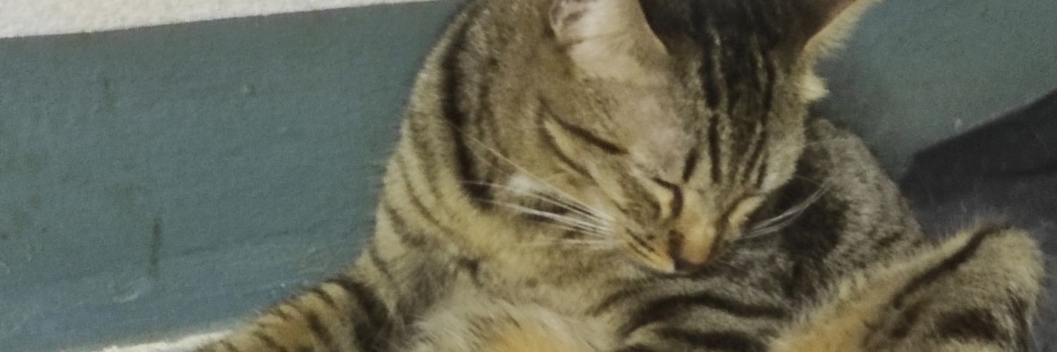 dvsvxbnx's profile banner image