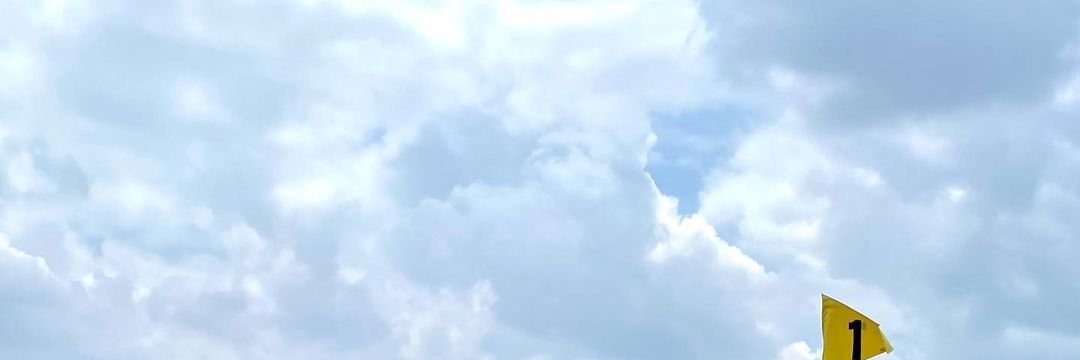 Adeline banner