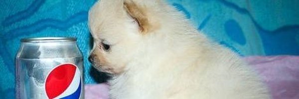 bigFatBallss3 Profile Banner