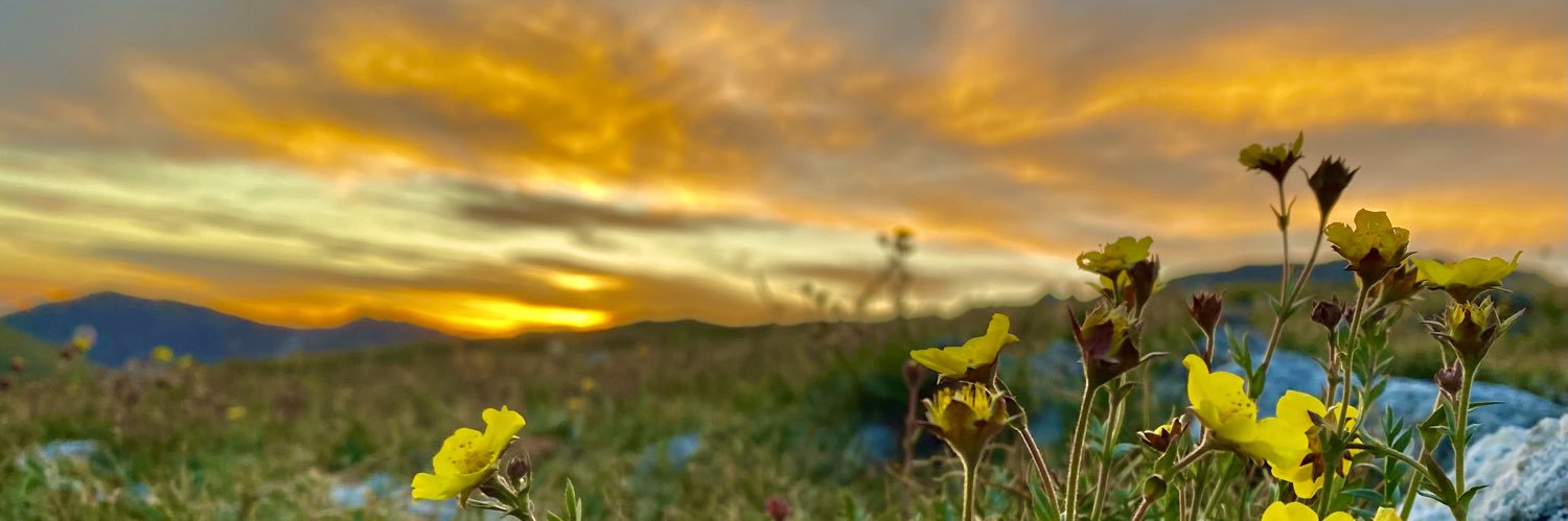 ShaneThread's profile banner image