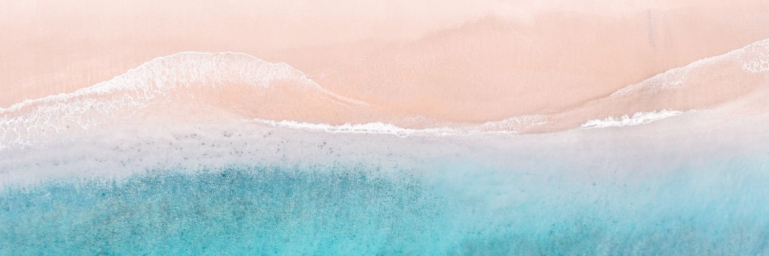 P424D1SE's profile banner image