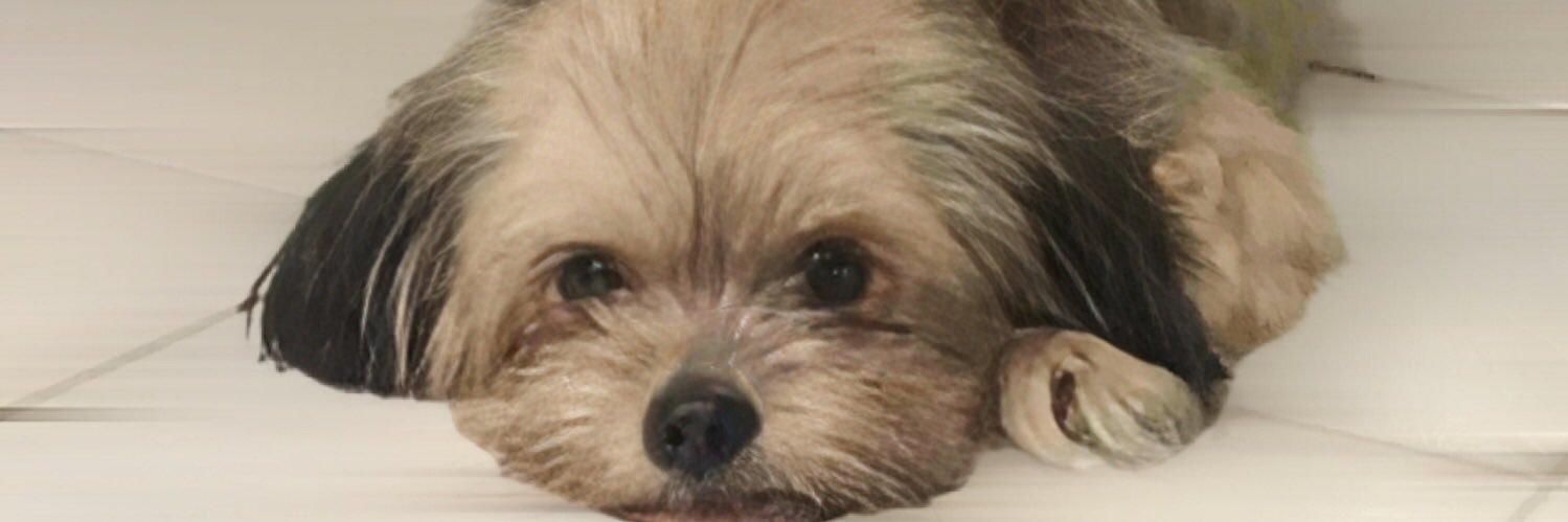 trsngl_'s profile banner image