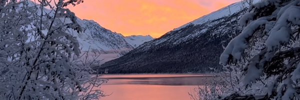 AsnimRebello Profile Banner