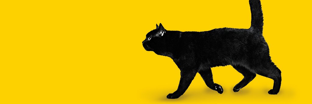 えきりっく🌙🌊🙏祈みんな元気になぁれ🙏 banner