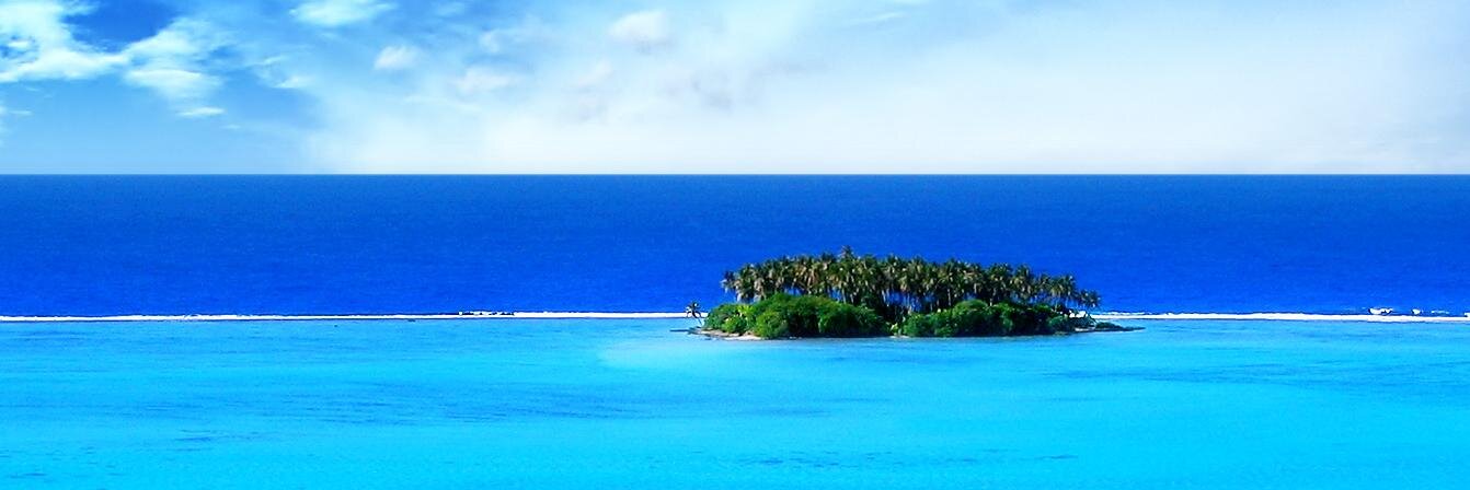 Taylor Janetti banner