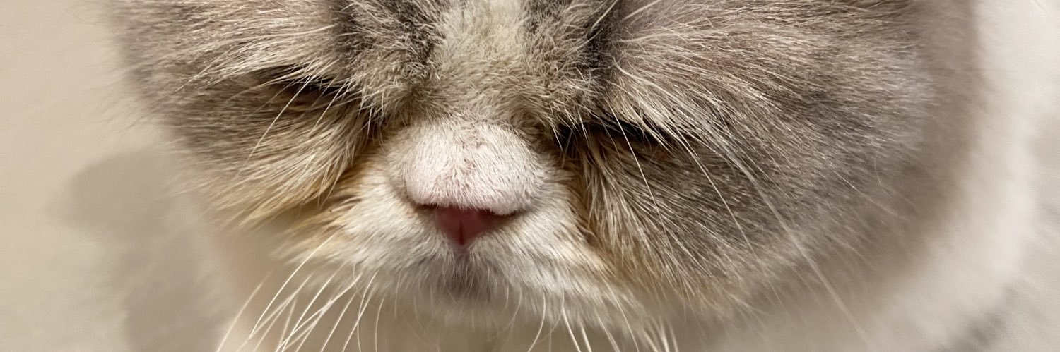 れい様 (超kawaii) banner