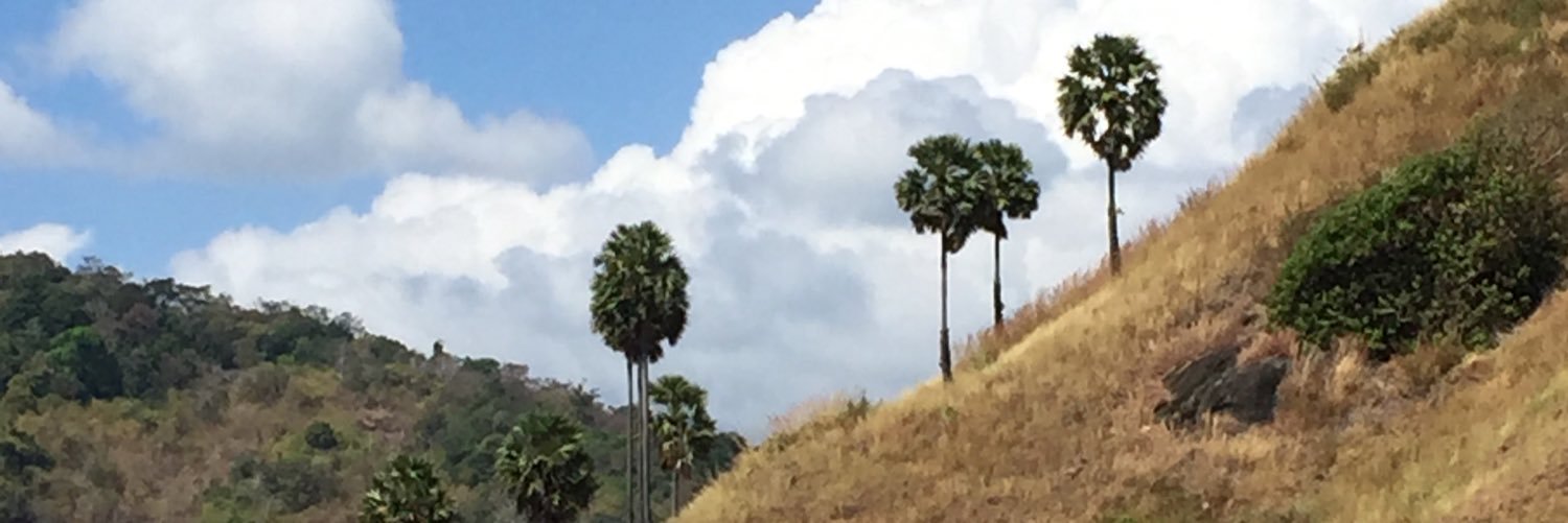 amishyn's profile banner image