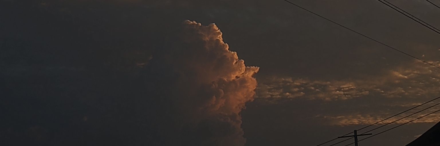 MonkiRoger's profile banner image