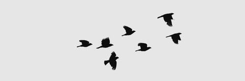 AKHMADSILA1's profile banner image