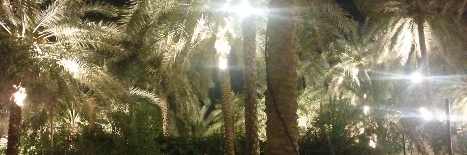 qvqvq7's profile banner image