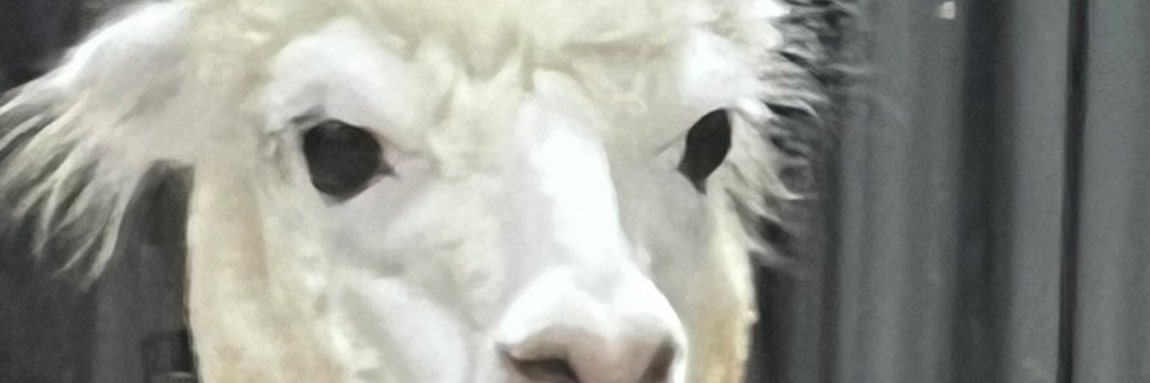 iwatchulye's profile banner image
