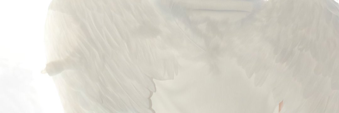 jini_xi's profile banner image