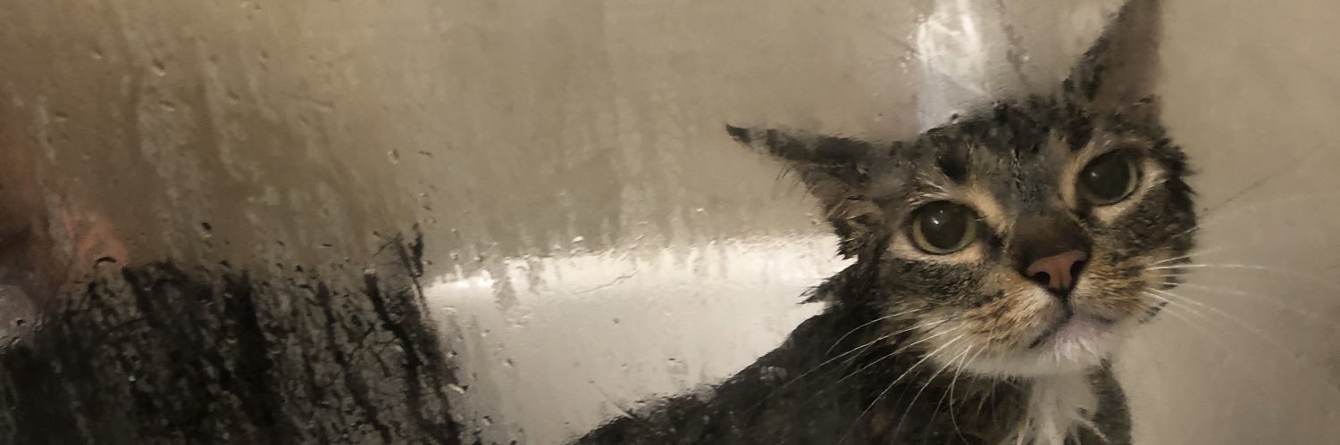 ericvkim's profile banner image