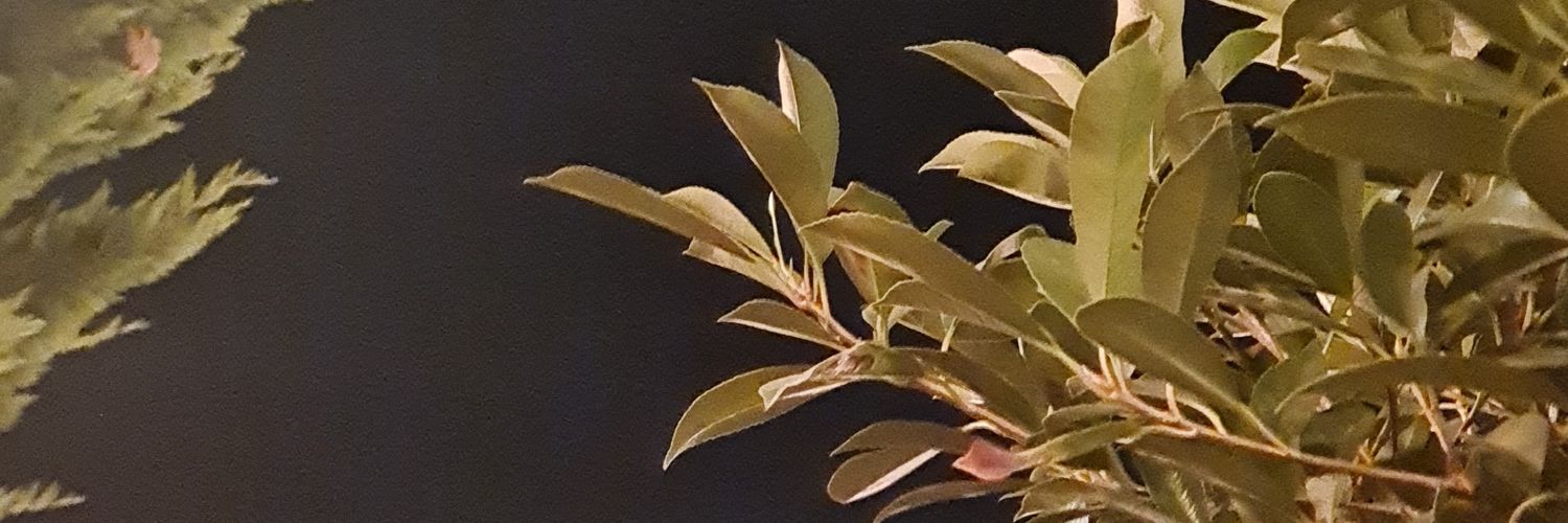 Cem Demirtürk banner