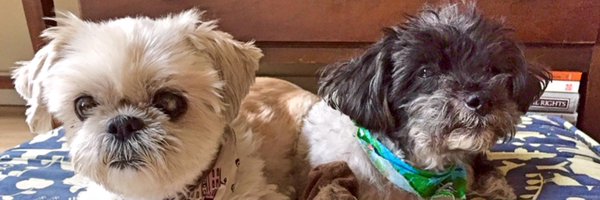 PatrickKwan Profile Banner