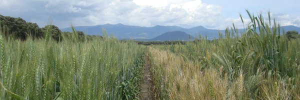 BryanMGannon Profile Banner