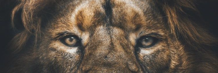 busrailgen's profile banner image