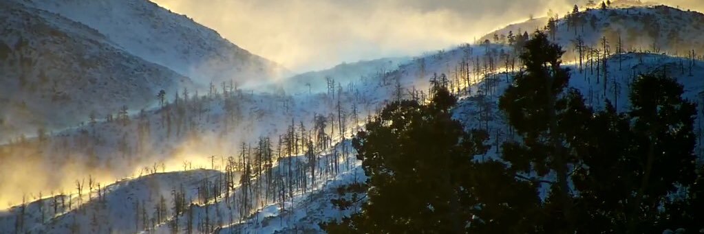 FireRF560's profile banner image