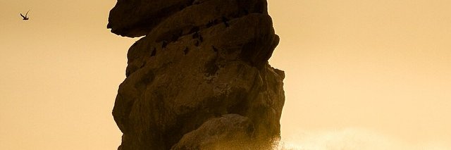 Handmaiden banner