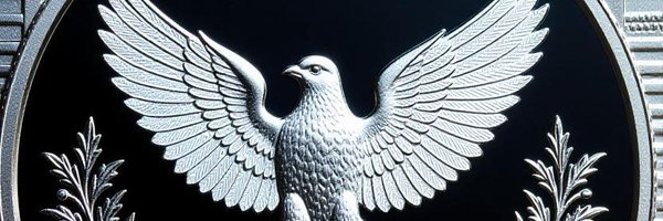 QuantaraCoin Profile Banner