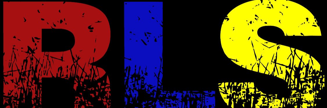 RLSN_Po's profile banner image