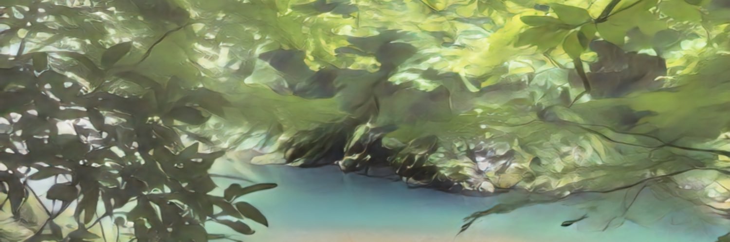 loopreviL banner