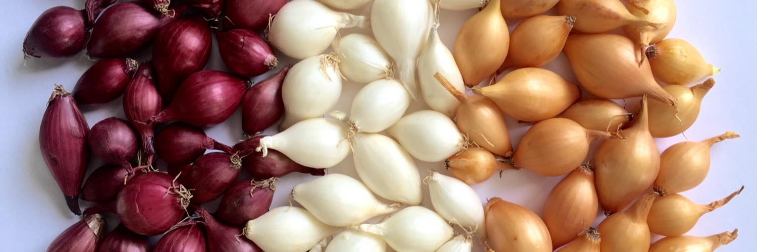 nathan teetzel banner