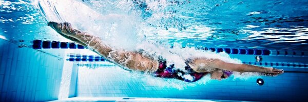 Shiverers Profile Banner