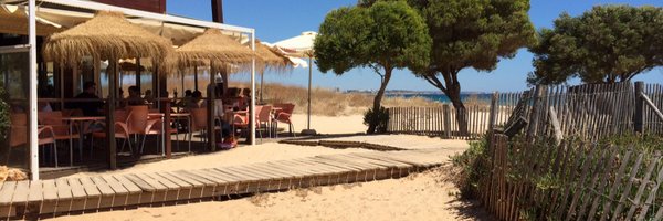 aarosin Profile Banner