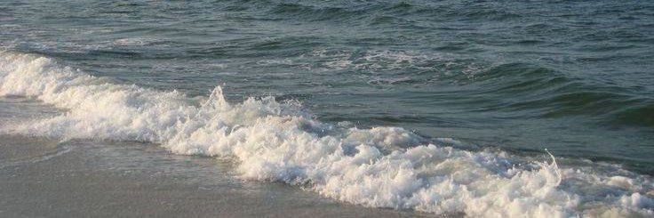 Sourire de Monsieur banner