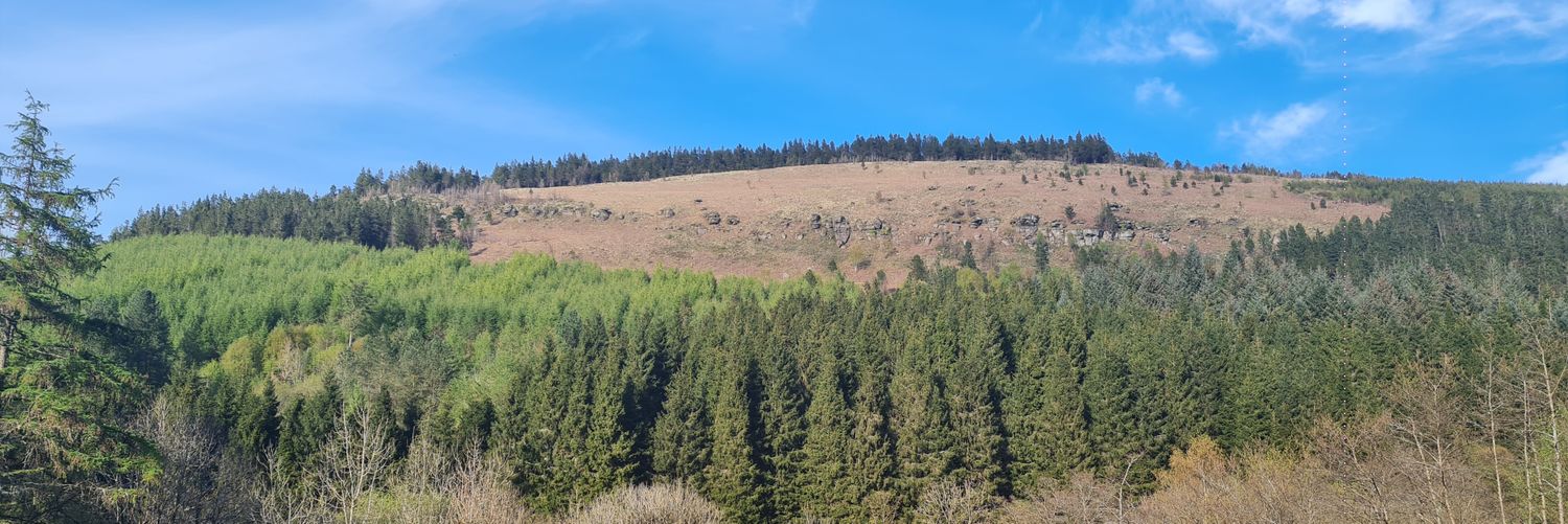 Jeff Rees banner