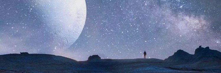peteyoko's profile banner image