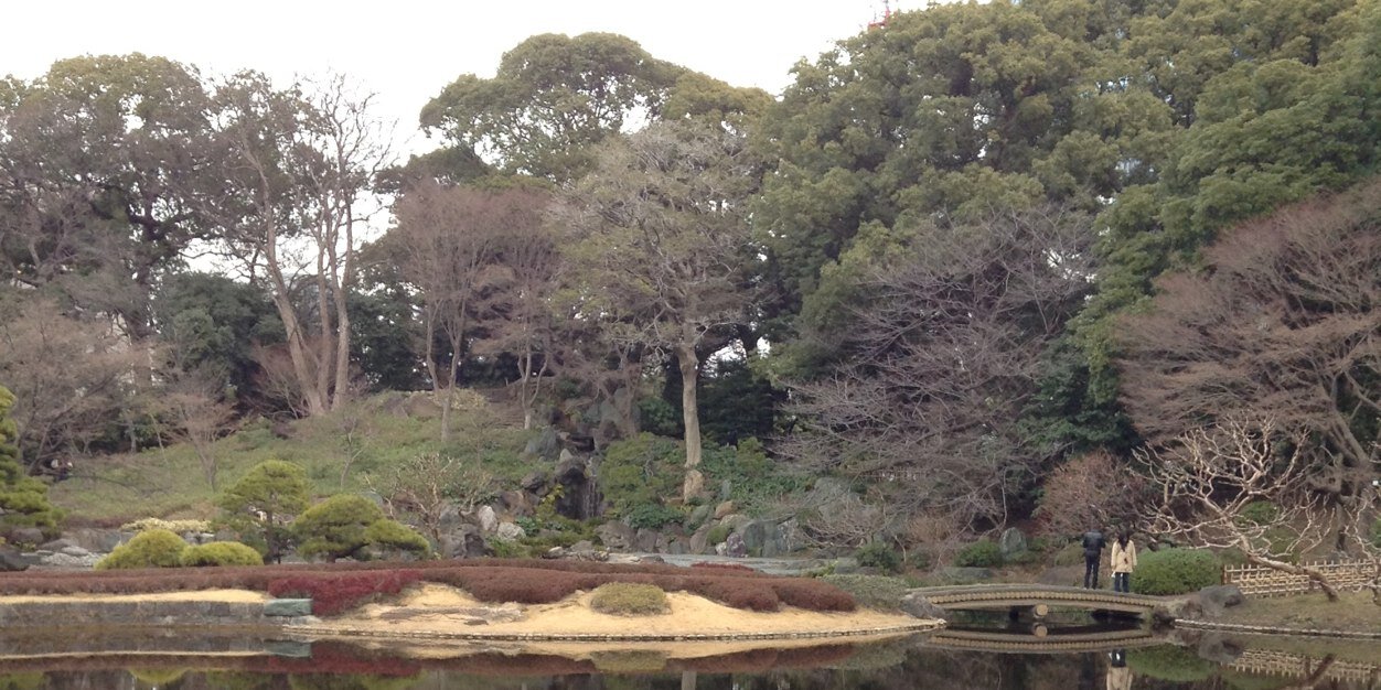 まりも banner