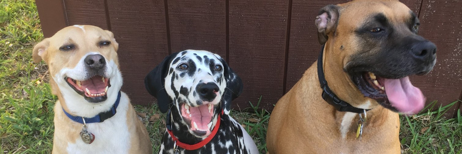 bluescoop5's profile banner image