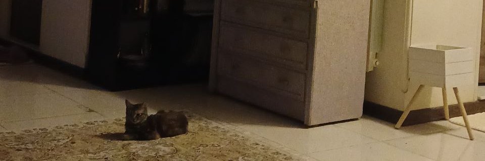 Ilan 🦭 ژن ژیان ئازادی (☭) banner