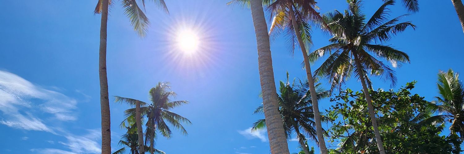 Excellent Driver banner