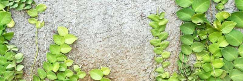 widipinasthi's profile banner image
