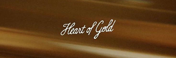 𝒲𝒾𝓀𝒾 | SAW SHAWN MENDES banner