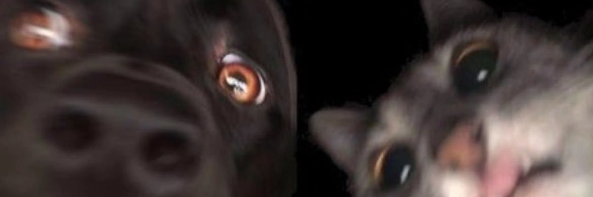 fanta's banner