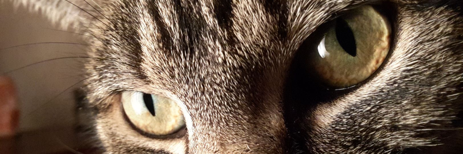 G_414M's profile banner image