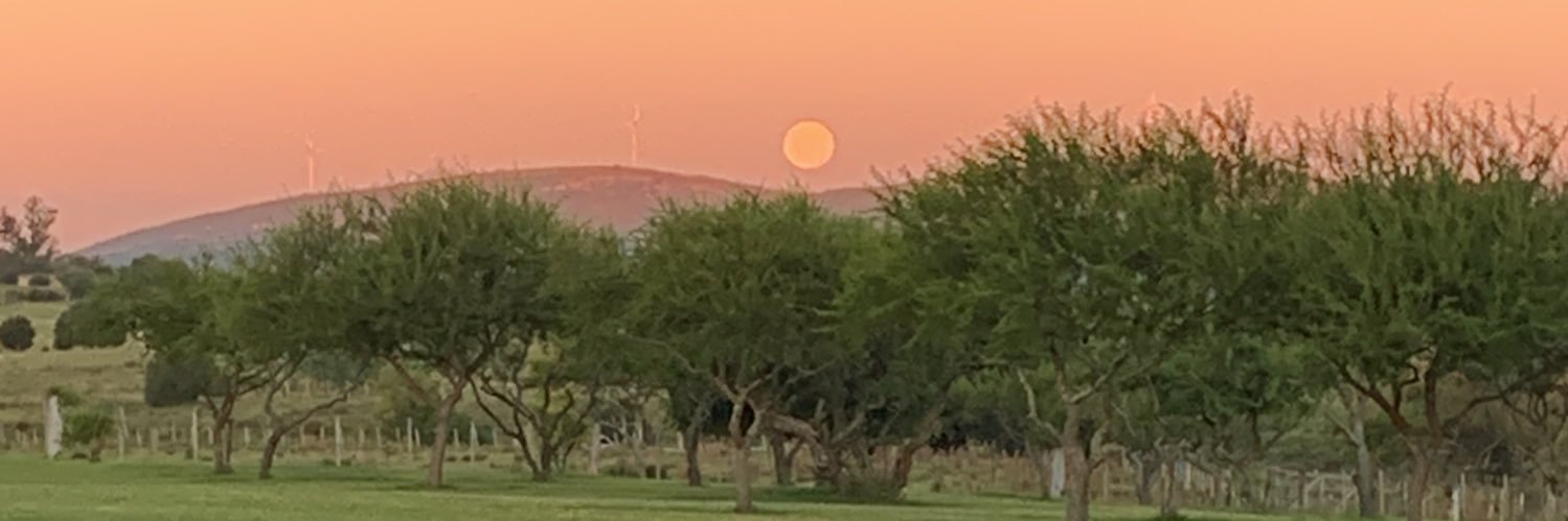 clarisima35's profile banner image