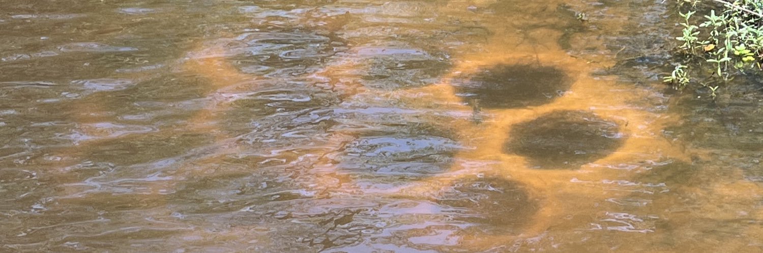 Nye^ banner