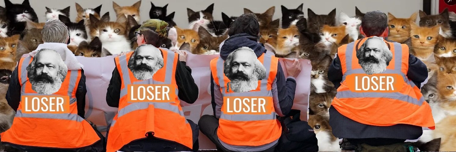 Just Stop Net Zero. banner