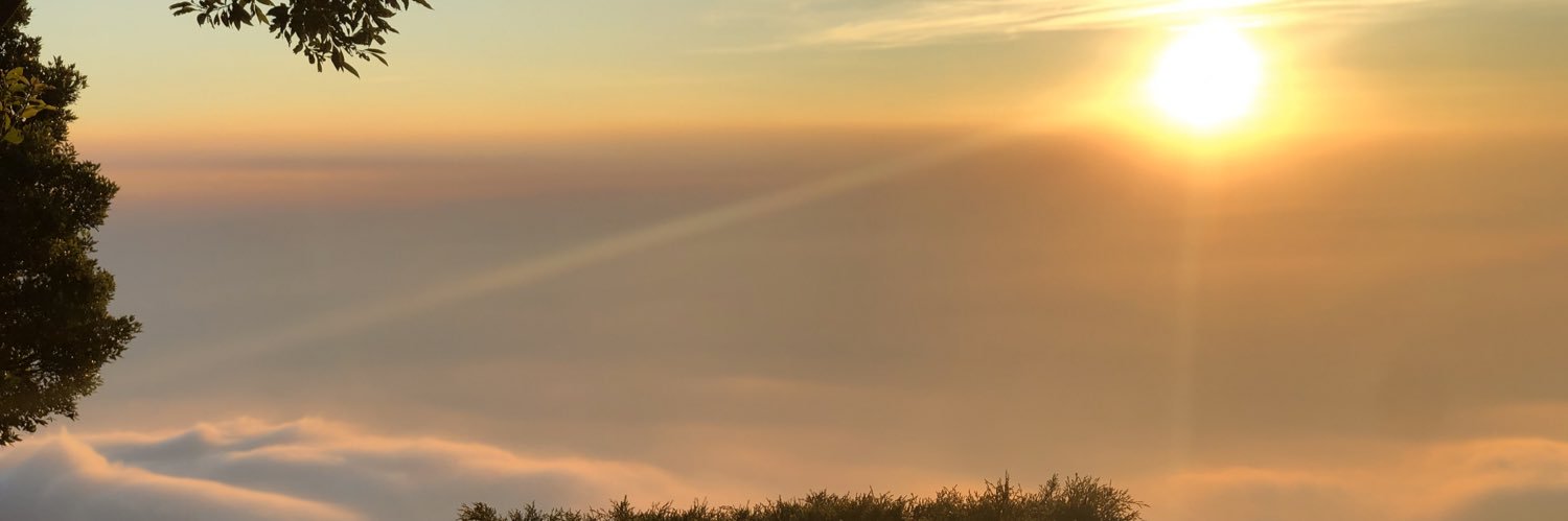 millaraul's profile banner image