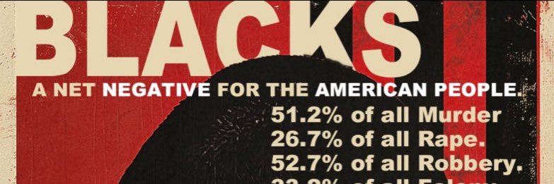 🚨RESTORE-AMERICA🚨 banner