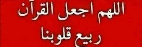 صقر الجنوب... banner