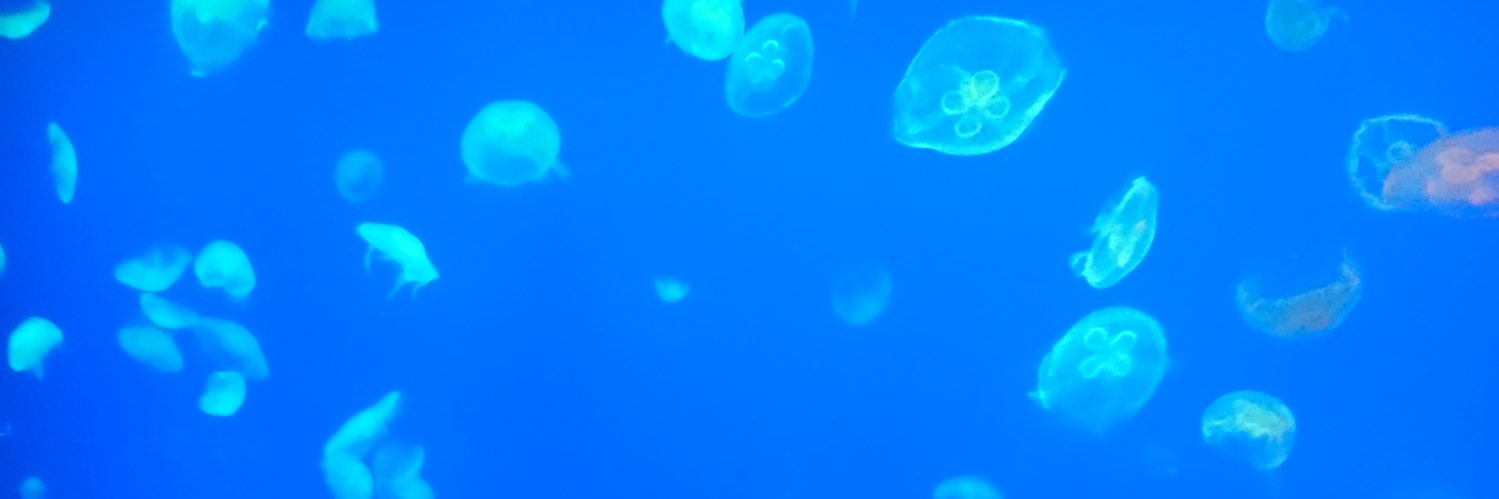 cdmasol21's profile banner image