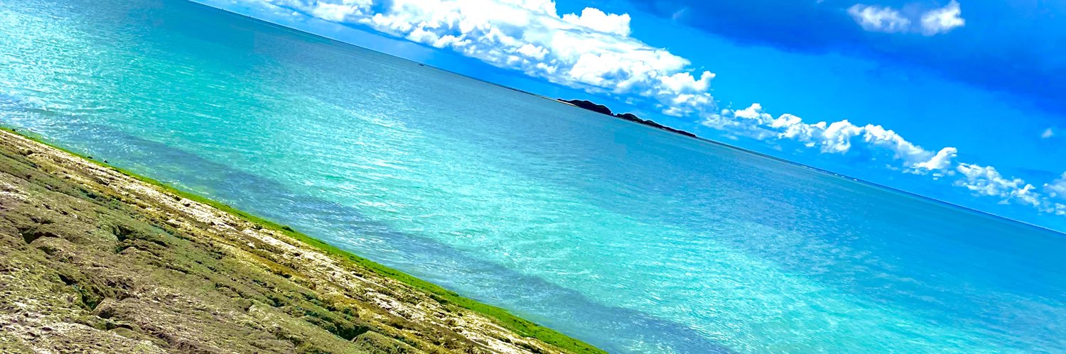 fevddyodjydj's profile banner image