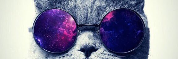 RaniiQQ's profile banner image